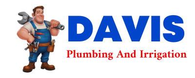 Trusted plumber in LANETT